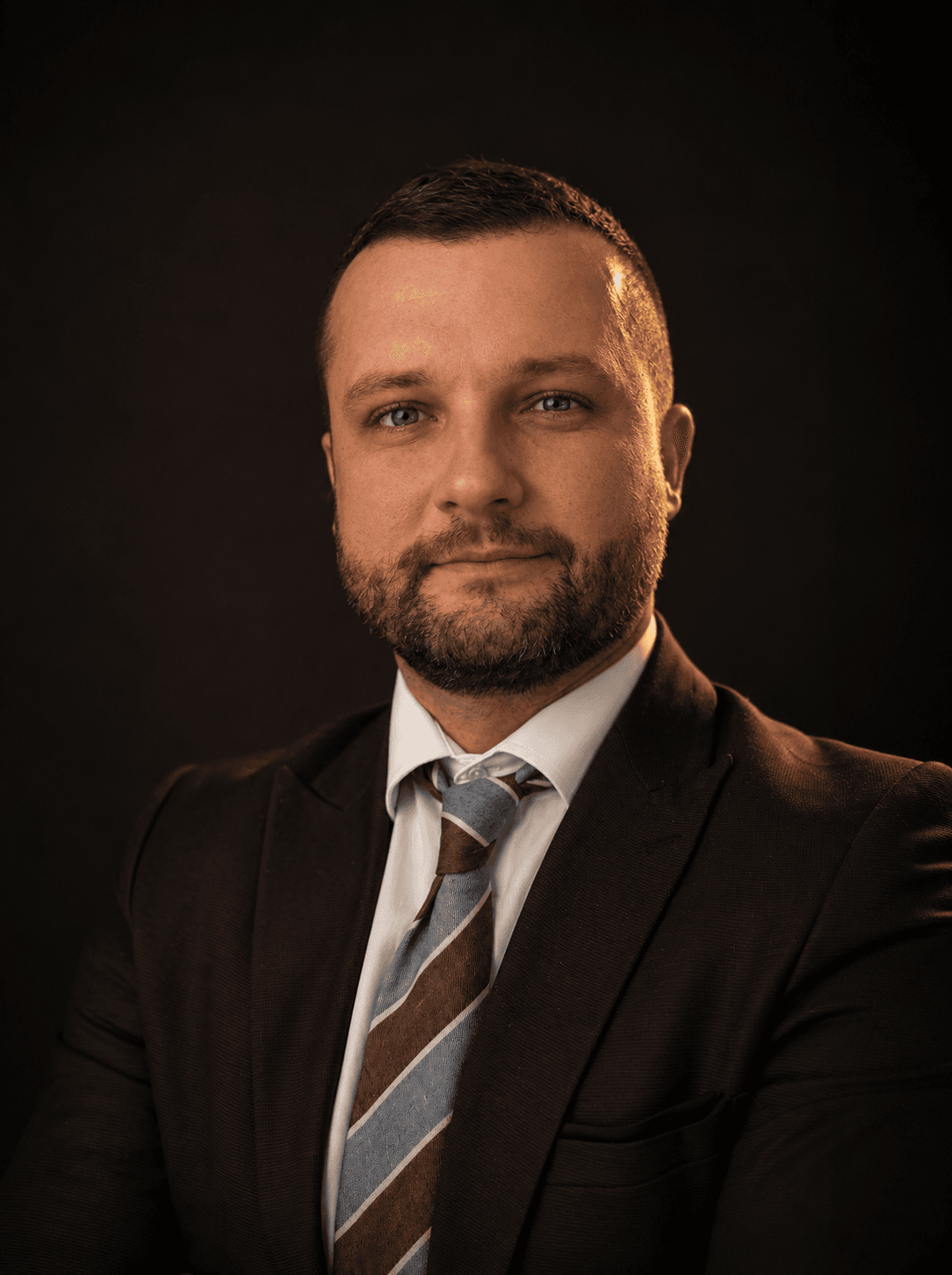 Borisav Milinković, finansijski savetnik
